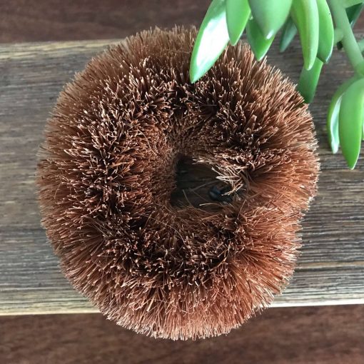 Coconut Scourer for eco friendly cleaning