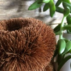 Coconut Scourer for eco friendly cleaning